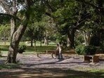 The Lalbagh Botanical Garden in Bengaluru: While some see the new structure as an improvement, others worry that it could change the spirit of the historic park. (Hemant Mishra/ Mint/ Hindustan Times Media)