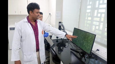 Additional professor of biochemistry Dr Sanjay Kumar at stem cell laboratory in All India Institute of Medical Sciences in Bathinda on Sunday. (Sanjeev Kumar/Hindustan Times)