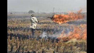 October 12, Punjab reported 177 farm fire cases. (HT File) October 12, Punjab reported 177 farm fire cases. (HT File)