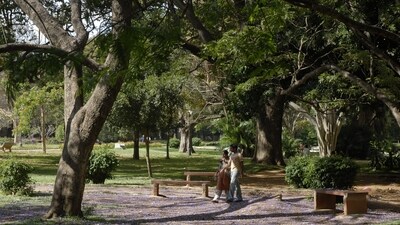 The Lalbagh Botanical Garden in Bengaluru: While some see the new structure as an improvement, others worry that it could change the spirit of the historic park. (Hemant Mishra/ Mint/ Hindustan Times Media) The Lalbagh Botanical Garden in Bengaluru: While some see the new structure as an improvement, others worry that it could change the spirit of the historic park. (Hemant Mishra/ Mint/ Hindustan Times Media)