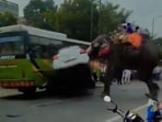 An elephant went on a rampage during a Dussehra procession in Chapra, Bihar, damaging vehicles and causing panic.


