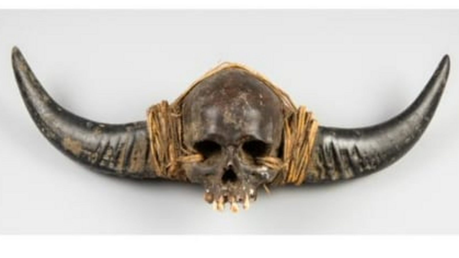Why a 19th-century Naga human skull is more than just of human interest