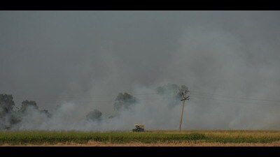 A farmer sets fire to paddy stubble in the field near Verka. Amritsar on Sunday. (Sameer Sehgal/Hindustan Times) A farmer sets fire to paddy stubble in the field near Verka. Amritsar on Sunday. (Sameer Sehgal/Hindustan Times)
