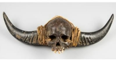The Naga ancestral human skull, attached with the horns of an animal, named “19th-century horned Naga human skull, Naga tribe” was in the catalogue for an auction scheduled for October 9 titled “The Curious Collector” sale by Swan Fine Art at Tetsworth, Oxfordshire, UK (X) The Naga ancestral human skull, attached with the horns of an animal, named “19th-century horned Naga human skull, Naga tribe” was in the catalogue for an auction scheduled for October 9 titled “The Curious Collector” sale by Swan Fine Art at Tetsworth, Oxfordshire, UK (X)