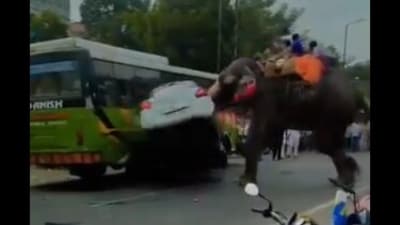 An elephant went on a rampage during a Dussehra procession in Chapra, Bihar, damaging vehicles and causing panic. (X/@gharkekalesh) An elephant went on a rampage during a Dussehra procession in Chapra, Bihar, damaging vehicles and causing panic. (X/@gharkekalesh)