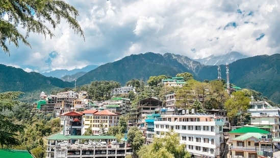Himachal's Dharamshala is a 2024 hotspot for global travellers. Here's what’s drawing visitors to this Himalayan gem (Photo by Unsplash)