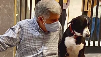 Ratan Tata with his office dog Goa in this photograph from 2020 (Instagram/@ratantata) Ratan Tata with his office dog Goa in this photograph from 2020 (Instagram/@ratantata)