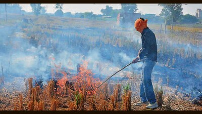 Paddy stubble set on fire at a field in a village near Amritsar on Tuesday. (Sameer Sehgal/Hindustan Times) Paddy stubble set on fire at a field in a village near Amritsar on Tuesday. (Sameer Sehgal/Hindustan Times)