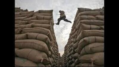 The government officials said that “arrangements” have been made to procure 185 lakh tonnes. (HT File) The government officials said that “arrangements” have been made to procure 185 lakh tonnes. (HT File)