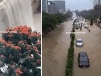Bengaluru received heavy rain on Tuesday, flooding several parts of the city. Bengaluru received heavy rain on Tuesday, flooding several parts of the city.