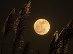 Manifestation on Sharad Poornima 2024 Manifestation on Sharad Poornima 2024