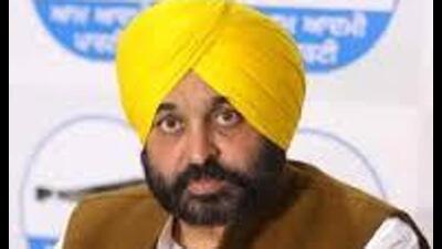 Punjab chief minister Bhagwant Mann (HT File)