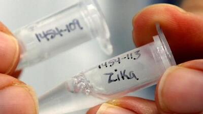 Ten pregnant women from Pune who had earlier tested positive for the Zika virus infection have delivered healthy babies, bringing relief to their families and the health department. (REUTERS (PIC FOR REPRESENTATION)) Ten pregnant women from Pune who had earlier tested positive for the Zika virus infection have delivered healthy babies, bringing relief to their families and the health department. (REUTERS (PIC FOR REPRESENTATION))