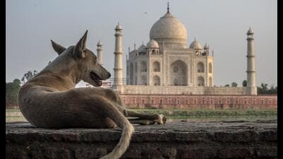 Two Indian wonders in one picture (Shutterstock) Two Indian wonders in one picture (Shutterstock)