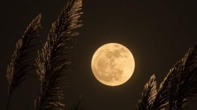Manifestation on Sharad Poornima 2024 (Unsplash) Manifestation on Sharad Poornima 2024 (Unsplash)
