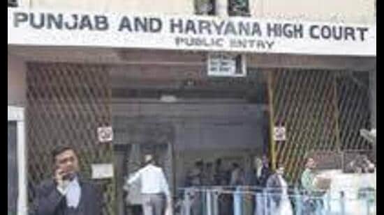 The plea has been filed by KS Raju Legal Trust, a Chandigarh based organisation. (HT File)