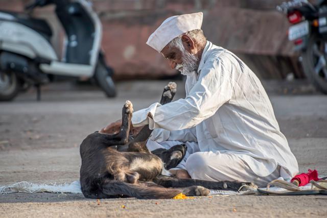 A man with his dog in Pune. (Shutterstock) A man with his dog in Pune. (Shutterstock)