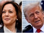 US Vice President Kamala Harris at the White House, Washington and former US President Donald Trump in Bedminster, New Jersey.
