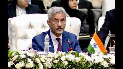 External Affairs Minister S Jaishankar. (PTI) External Affairs Minister S Jaishankar. (PTI)