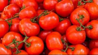 Komal Sharma, in-charge of apni mandis for Punjab Mandi Board, said, “Adverse weather conditions in July have affected local tomato production in Punjab.” (HT File)