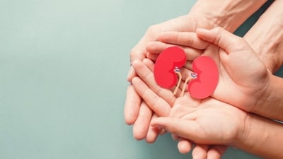 Researchers found similar results whether the donated organ came from a person with or without the AIDS virus. (Pic for representation) Researchers found similar results whether the donated organ came from a person with or without the AIDS virus. (Pic for representation)