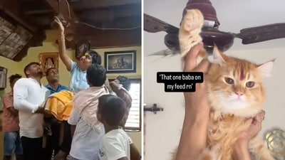 Viral videos show a disabled man in chair being raised up to a ceiling fan as he touches it and blesses his devotees. (Instagram/laddu.muttya_1008)
