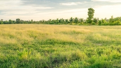 Delhi-NCR-based company Nirala World has acquired a 2.6 acre land parcel in Greater Noida for ₹180 crore and intends constructing a commercial project on it. (Photo for representational purposes only) (Shutterstock) Delhi-NCR-based company Nirala World has acquired a 2.6 acre land parcel in Greater Noida for ₹180 crore and intends constructing a commercial project on it. (Photo for representational purposes only) (Shutterstock)