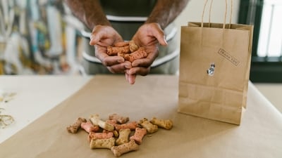 Treat your furry friends right with the best pet treats that keep them happy and healthy! (Pexels) Treat your furry friends right with the best pet treats that keep them happy and healthy! (Pexels)