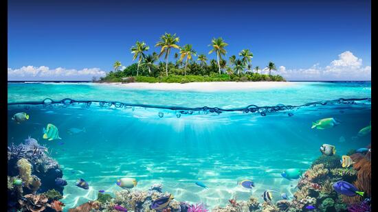 ‘Playground’ scratches the existential question of how humans relate to the world around them, particularly the ocean, in a way that transcends both literal and metaphorical depths (Shutterstock)