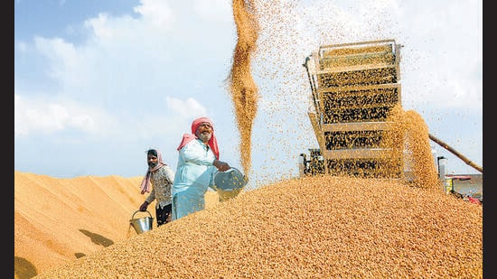 The cabinet committee on economic affairs has increased the wheat MSP by ₹150 (7%), revising it from ₹2,275 to ₹2,425.