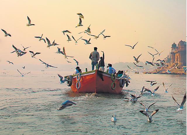 To get this shot in Varanasi, birds rarely cooperate, the river is rarely empty. Many people use Photoshop. (SHUTTERSTOCK) To get this shot in Varanasi, birds rarely cooperate, the river is rarely empty. Many people use Photoshop. (SHUTTERSTOCK)