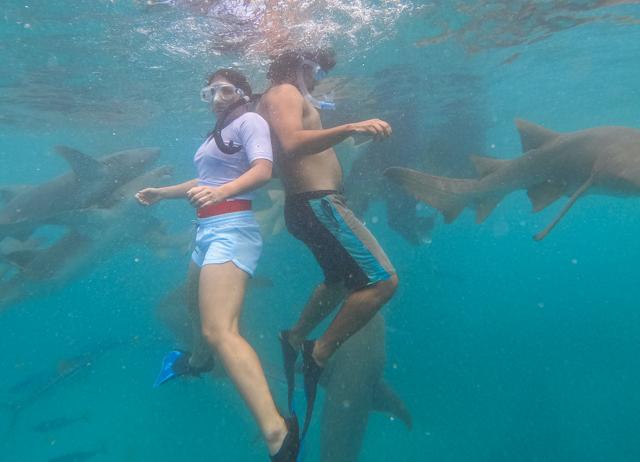 Rashmee Joshi and Anant Upadhya, who run @TravelWithSeaRats, say it took more than 20 retakes to get this shot in Maldives last year. Rashmee Joshi and Anant Upadhya, who run @TravelWithSeaRats, say it took more than 20 retakes to get this shot in Maldives last year.
