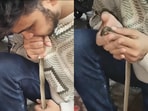 Wildlife rescuer revived a lifeless snake in Vadodara by performing CPR, saving its life.
Wildlife rescuer revived a lifeless snake in Vadodara by performing CPR, saving its life.