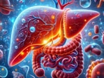 New hope for liver cancer patients: Biomarker may predict response to immunotherapy New hope for liver cancer patients: Biomarker may predict response to immunotherapy