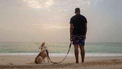 Ahmed brings his dog Rogue, a Siberian husky dog, for a walk at the beach of Nouakchott. (AFP) Ahmed brings his dog Rogue, a Siberian husky dog, for a walk at the beach of Nouakchott. (AFP)