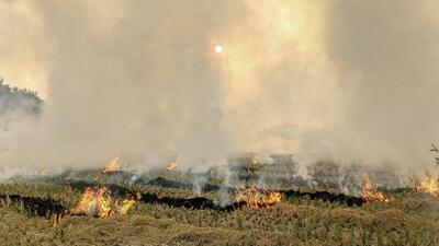 On Friday, Haryana chief minister Nayab Singh Saini said farmers are fully aware about the health consequences of burning crop residue, and added that his government is taking every step to curb farm fires. (PTI) On Friday, Haryana chief minister Nayab Singh Saini said farmers are fully aware about the health consequences of burning crop residue, and added that his government is taking every step to curb farm fires. (PTI)