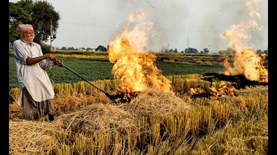 The development comes after the Supreme Court on Wednesday had pulled up the Punjab and Haryana governments for their “failure” to take effective action against stubble burning . (PTI) The development comes after the Supreme Court on Wednesday had pulled up the Punjab and Haryana governments for their “failure” to take effective action against stubble burning . (PTI)