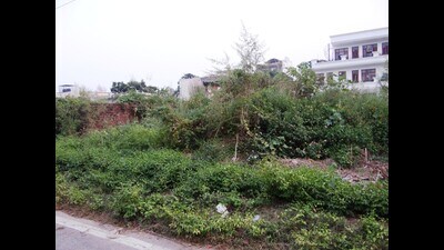 The petitioners alleged that civic authorities’ apathy in maintaining public spaces had led to spike in dengue cases. (HT photo) The petitioners alleged that civic authorities’ apathy in maintaining public spaces had led to spike in dengue cases. (HT photo)