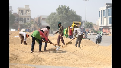 Workers dry paddy at the grain market in Bathinda on Friday. Sanjeev Kumar/HT Workers dry paddy at the grain market in Bathinda on Friday. Sanjeev Kumar/HT