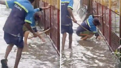 The footage shows two BBMP workers standing in knee-deep water, and attempting to unclog a drain with their bare hands, without any protective gear. (X/blrcitytraffic) The footage shows two BBMP workers standing in knee-deep water, and attempting to unclog a drain with their bare hands, without any protective gear. (X/blrcitytraffic)