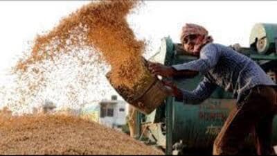 Amid farmers’ protest, Punjab food minister Lal ChandKataruchak has urged rice millers to resume operations. (HT File) Amid farmers’ protest, Punjab food minister Lal ChandKataruchak has urged rice millers to resume operations. (HT File)