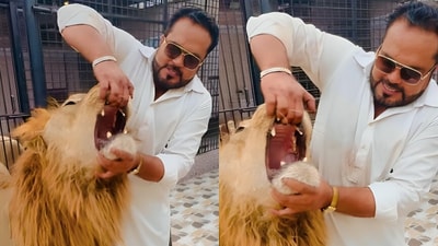 Man sparked outrage for prying open a lion's jaws in viral Instagram video. (Instagram/miansaqib363) Man sparked outrage for prying open a lion's jaws in viral Instagram video. (Instagram/miansaqib363)