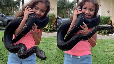 A viral video of a girl with a snake sparked backlash over parental negligence and safety concerns. (Instagram/@snakemasterexotics) A viral video of a girl with a snake sparked backlash over parental negligence and safety concerns. (Instagram/@snakemasterexotics)