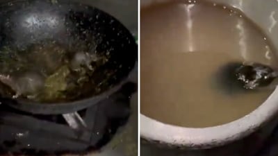 Students shared videos claiming that they found rats inside cooking utensils in the mess of Radha-Krishna Bhawan at the Uttarakhand institute. (X/@neha_suyal)