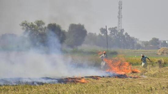 Ludhiana deputy commissioner mentioned that the administration has identified 30 hotspots, and sub-divisional magistrates (SDMs) of concerned areas have been instructed to closely supervise the work of nodal officers and cluster coordinators to ensure zero stubble burning. (HT Photo)