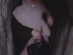 Yahya Sinhar's wife in the footage released by IDF.