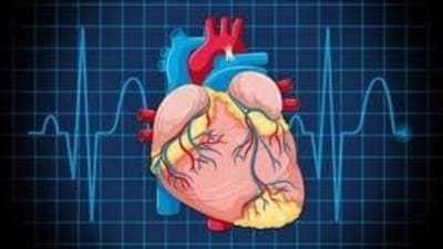 Adults with congenital heart disease (CHD) can now gain vital insights into their long-term quality of life. (HT File) Adults with congenital heart disease (CHD) can now gain vital insights into their long-term quality of life. (HT File)