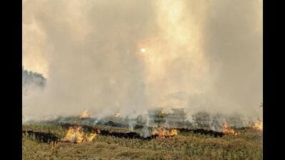 Kaithal has recorded 127 farm fires since September 15 this season, the highest in the state, followed by 91 in Kurukshetra and 74 in Ambala. (PTI) Kaithal has recorded 127 farm fires since September 15 this season, the highest in the state, followed by 91 in Kurukshetra and 74 in Ambala. (PTI)