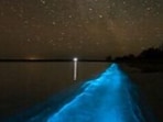 Bioluminescent_Bays