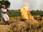 A farmer burns stubble at a paddy field, on the outskirts of Amritsar (File image) A farmer burns stubble at a paddy field, on the outskirts of Amritsar (File image)